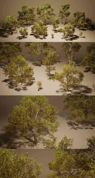 枫叶橡树植物3D模型集合-虚幻引擎