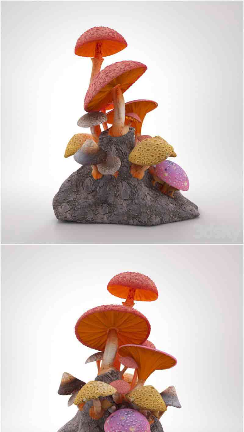 少见稀有的真菌蘑菇3D模型—MAX | FBX | OBJ插图