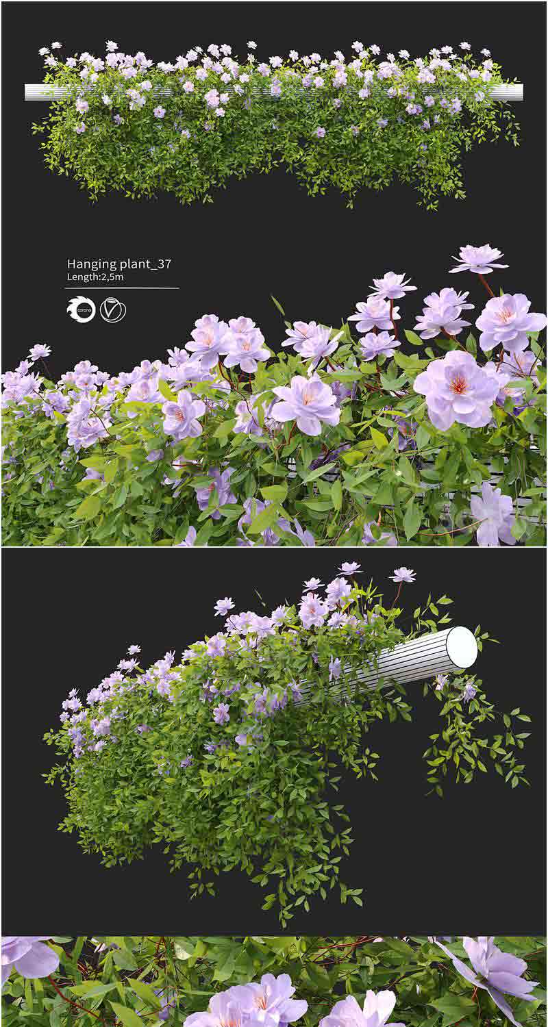 高品质的悬挂植物3D模型—MAX | FBX | OBJ插图