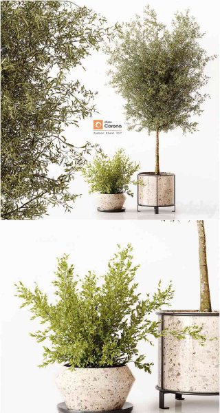 时尚高端优雅植物装饰3D模型—MAX | FBX | OBJ