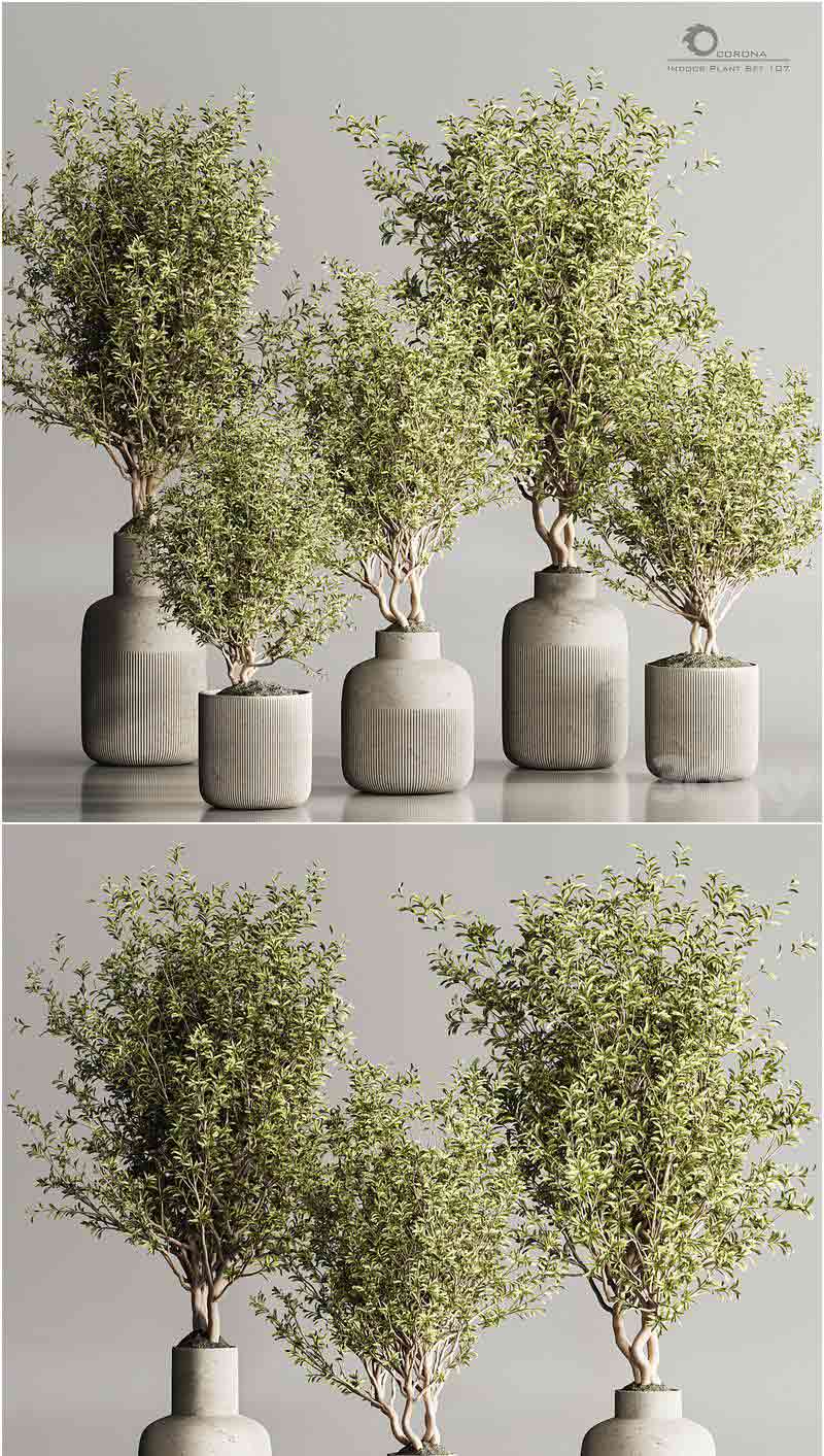 时尚简约优雅的室内植物套装3D模型—MAX | FBX | OBJ插图