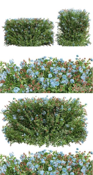 高品质的灌木草坪花丛植物3D模型—MAX | FBX | OBJ