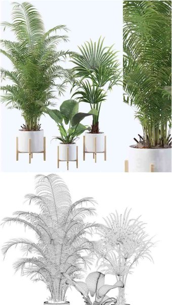 清新时尚现代风格的植物系列3D模型—MAX | FBX | OBJ
