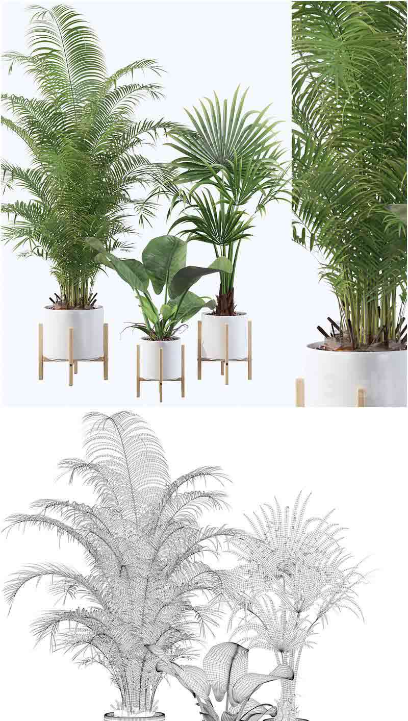 清新时尚现代风格的植物系列3D模型—MAX | FBX | OBJ插图