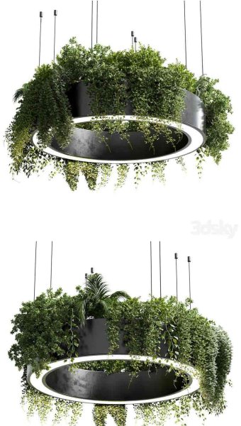 时尚高端悬挂盆植物吊灯灯具3D模型—MAX | FBX | OBJ