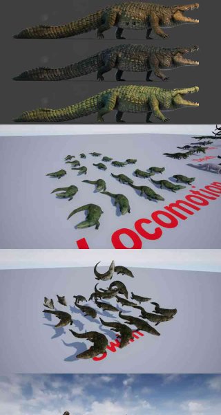 真实质感的鳄鱼3D模型大集合-虚幻引擎