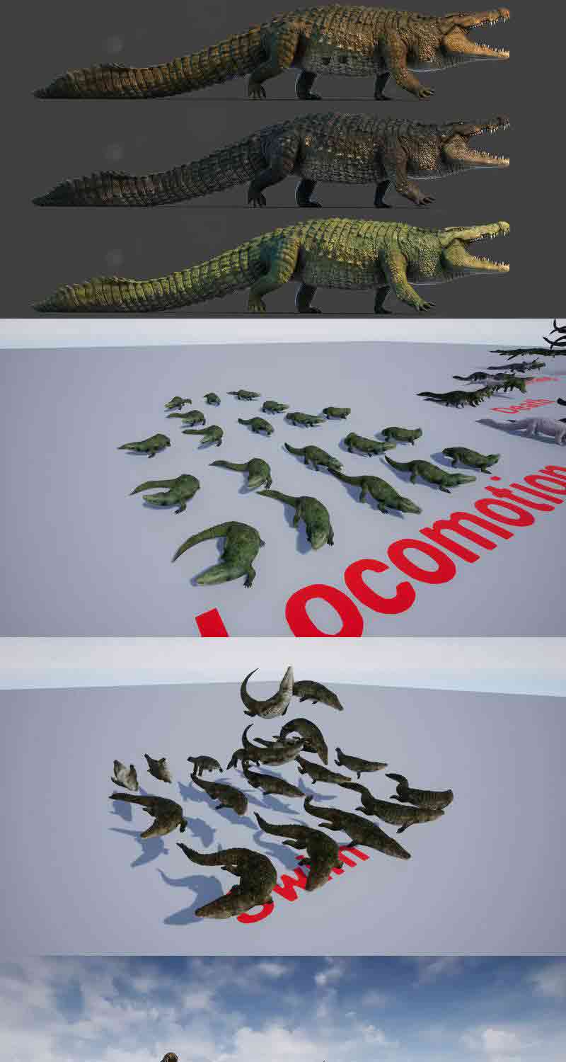 真实质感的鳄鱼3D模型大集合-虚幻引擎插图