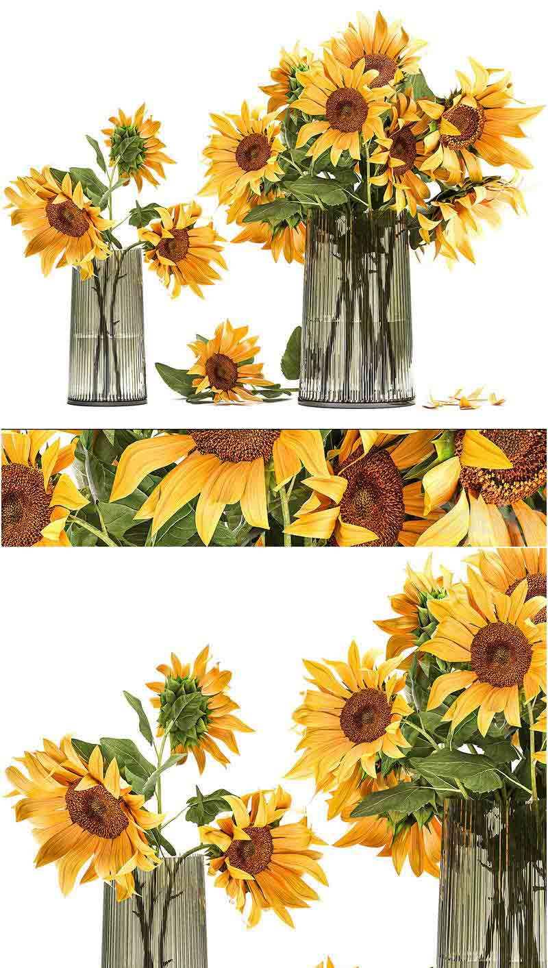 黄色花束向日葵鲜花花瓶 3D模型—MAX | FBX | OBJ插图