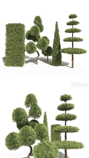 多种形状的崖柏柏树3D模型—MAX | FBX | OBJ