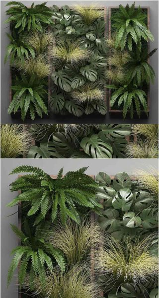 蕨类植物龟背竹墙壁装饰垂直花园3D模型—MAX | FBX | OBJ