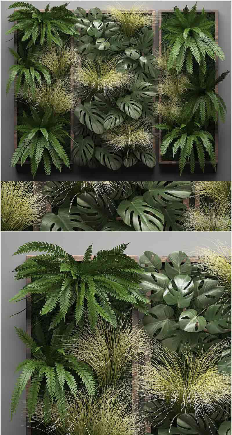 生锈的混凝土盆中的室内墙植物套装装饰3D模型—MAX | FBX | OBJ插图