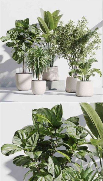 时尚高端现代优雅的室内植物花瓶装饰3D模型—MAX | FBX | OBJ