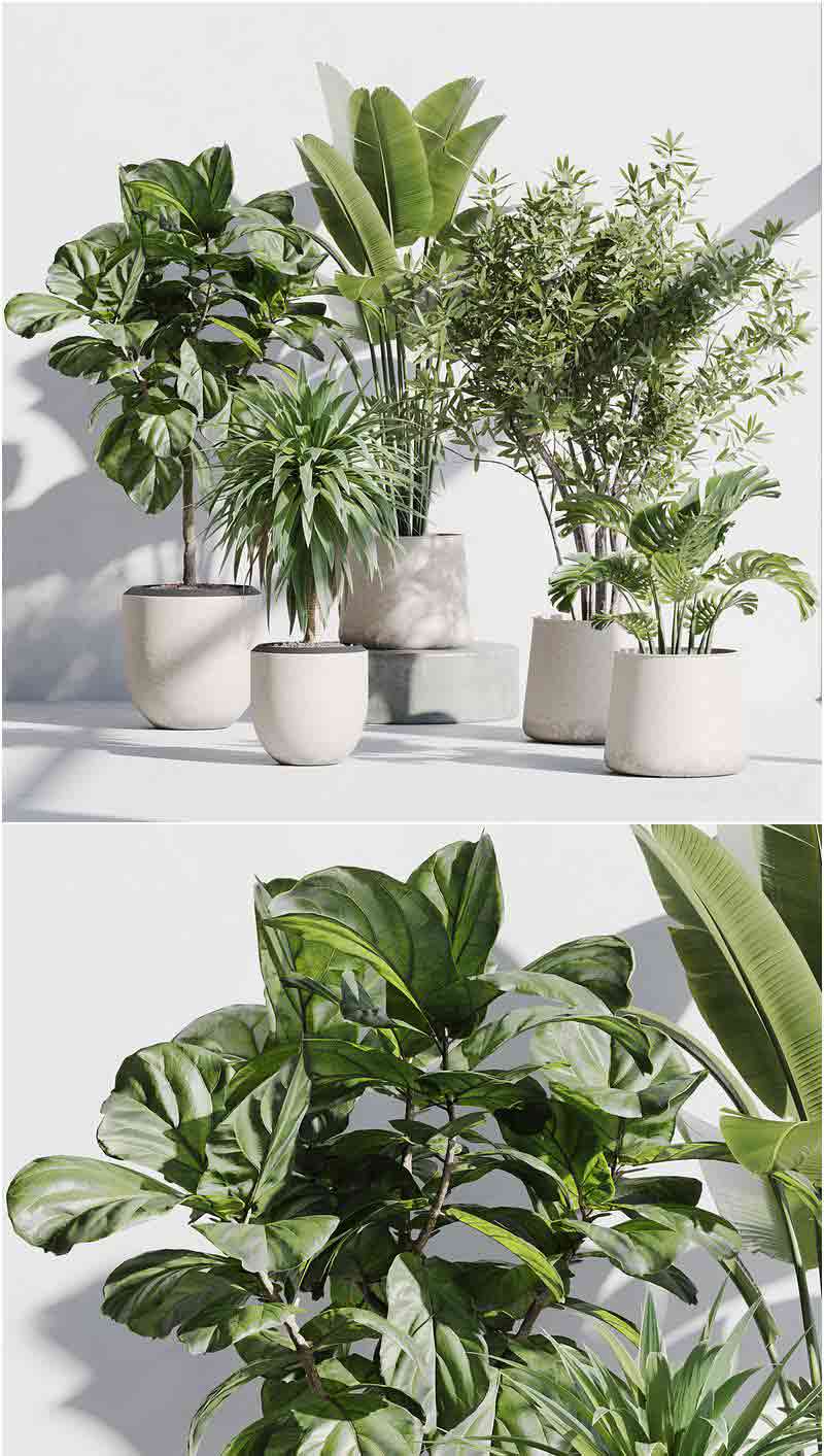 时尚高端现代优雅的室内植物花瓶装饰3D模型—MAX | FBX | OBJ插图