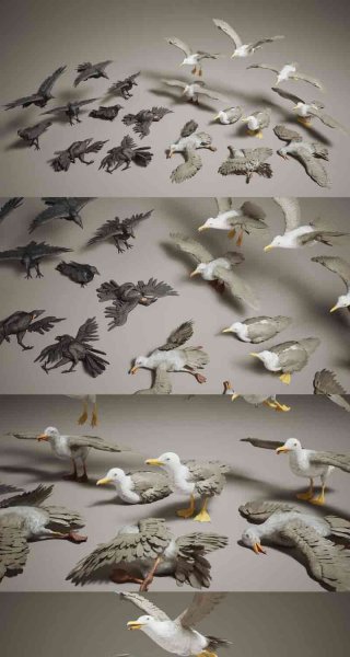 乌鸦和海鸥鸟类小动物3D模型大集合-虚幻引擎