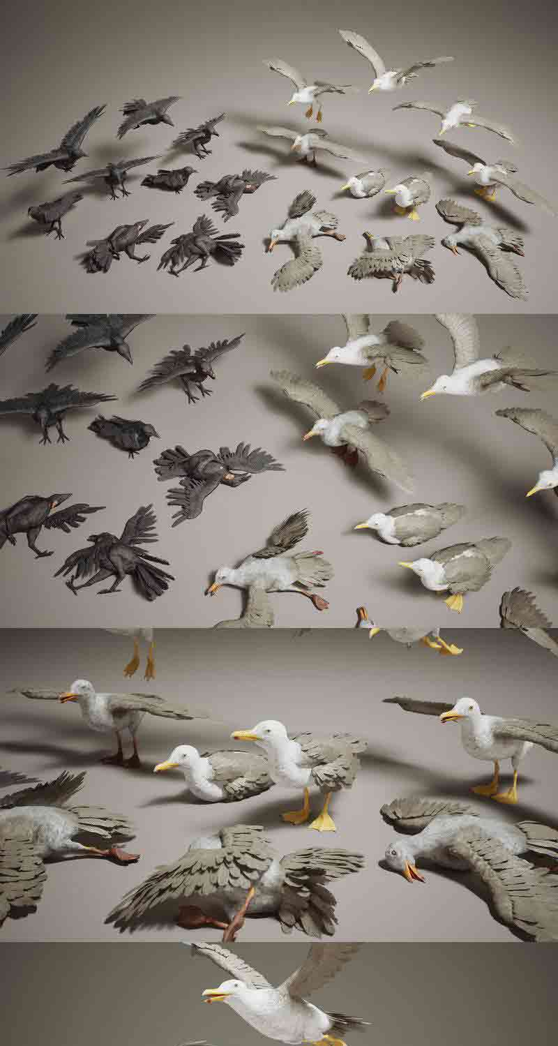 乌鸦和海鸥鸟类小动物3D模型大集合-虚幻引擎插图