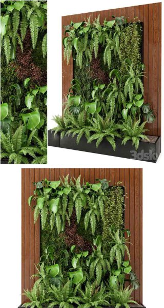 生锈的混凝土盆中的室内墙植物套装装饰3D模型—MAX | FBX | OBJ