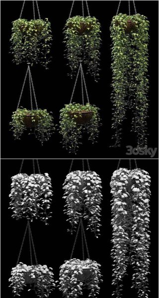 5个花盆里的常春藤植物3D模型—MAX | FBX | OBJ