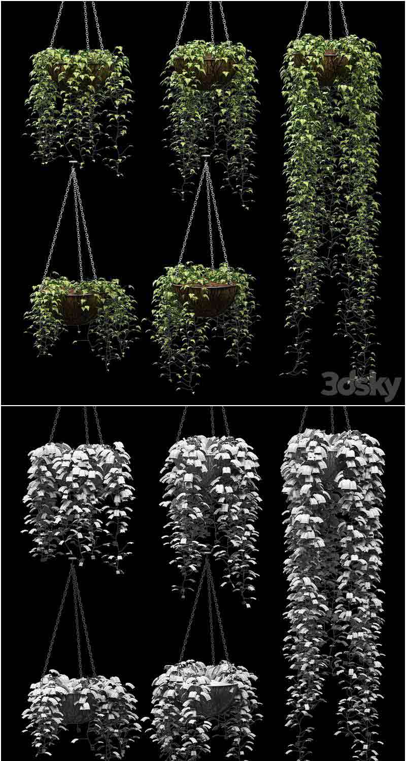 5个花盆里的常春藤植物3D模型—MAX | FBX | OBJ插图