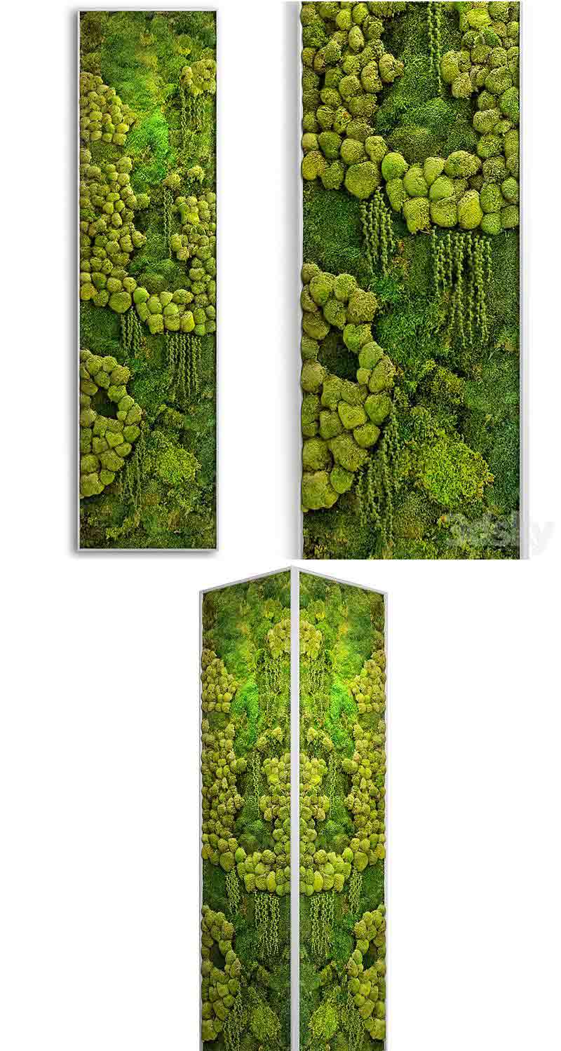 高品质的立体植物装饰墙3D模型—MAX | FBX | OBJ插图