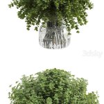 带玻璃花瓶白色的树枝植物花束3D模型—MAX | FBX | OBJ