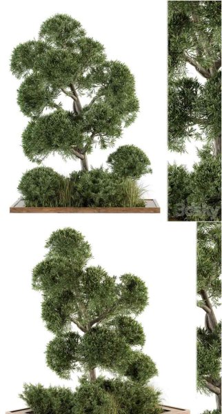 花园套装树木和灌木花园植物3D模型—MAX | FBX | OBJ