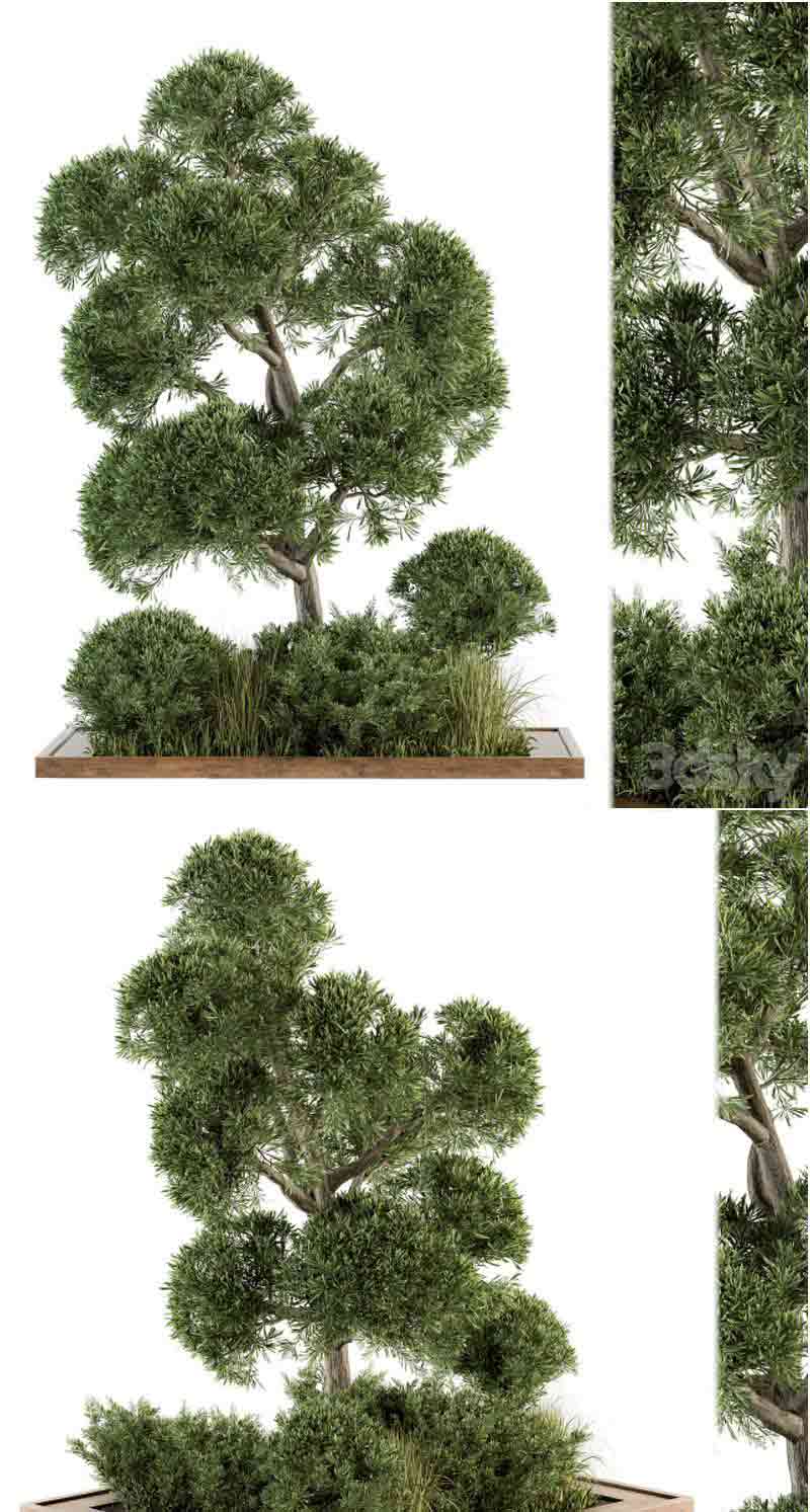 花园套装树木和灌木花园植物3D模型—MAX | FBX | OBJ插图