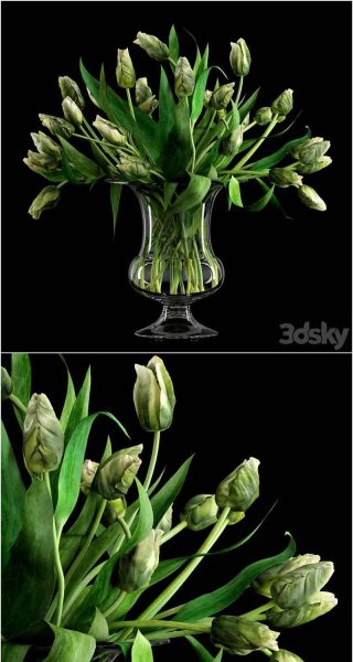 绿鹦鹉郁金香植物花瓶3D模型—MAX | FBX | OBJ
