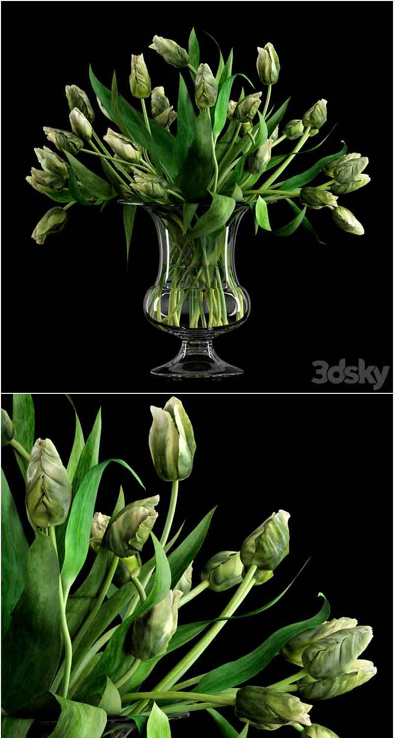 绿鹦鹉郁金香植物花瓶3D模型—MAX | FBX | OBJ插图