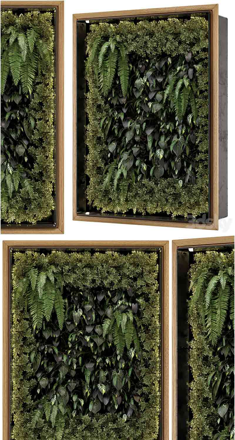 高品质的木质底座室内墙面垂直花园套装3D模型—MAX | FBX | OBJ插图