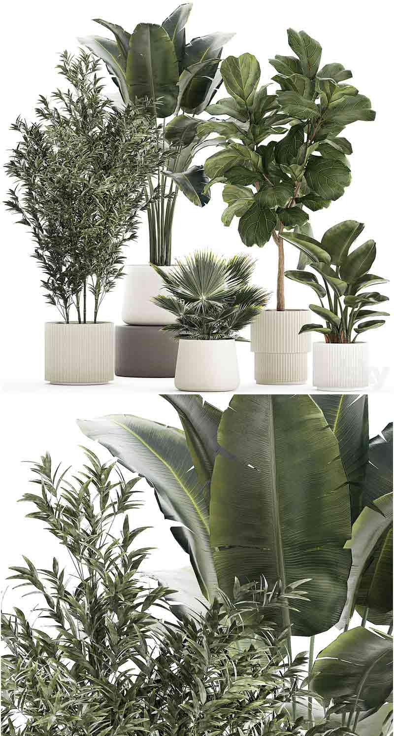 高品质的植物盆栽装饰3D模型大集合—MAX | FBX | OBJ插图