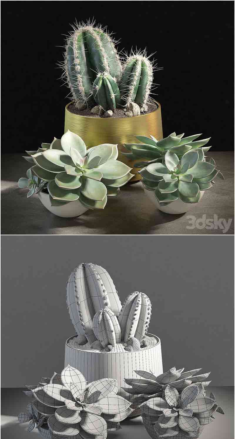 仙人掌盆栽植物3D模型—MAX | FBX | OBJ插图