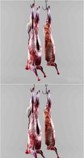 少见的动物尸体3D模型—MAX | FBX | OBJ