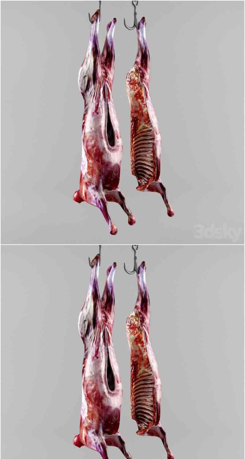 少见的动物尸体3D模型—MAX | FBX | OBJ插图