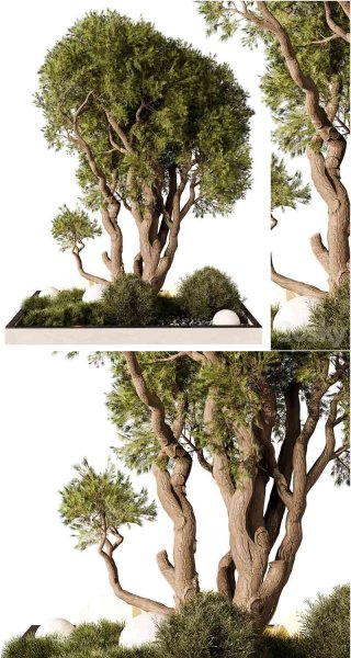 高品质的日本枯山水景观户外植物3D模型—MAX | FBX | OBJ