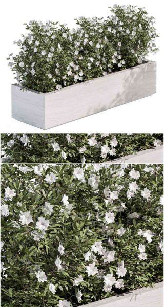 户外植物植物花箱3D模型—MAX | FBX | OBJ