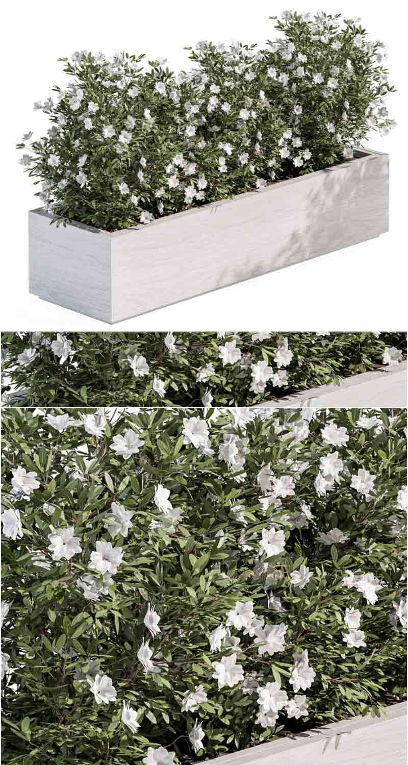 户外植物植物花箱3D模型—MAX | FBX | OBJ插图