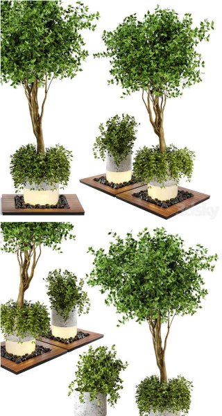 户外植物灌木和树木木材和混凝土花盆组合花园套装3D模型—MAX | FBX | OBJ