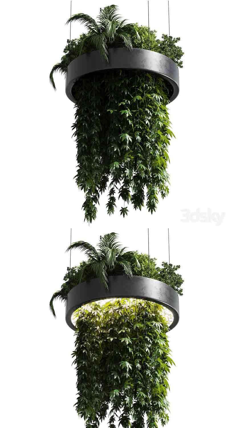 悬挂植物室内植物3D模型—MAX | FBX | OBJ插图